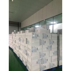 هندی ،درختی ،فندق