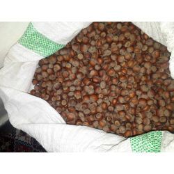 فندق یک پوسته خام