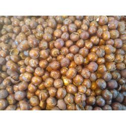 فندق ریز