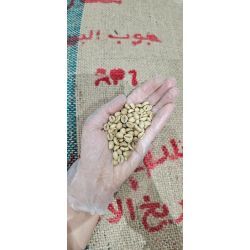 دان سبز روبوستا اندونزی جاوا