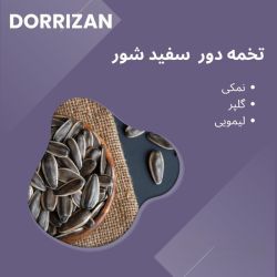 قاسم باقری چنار
