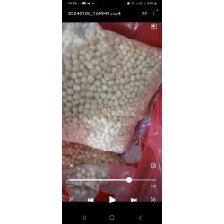 مغز فندق سفید ترکیه