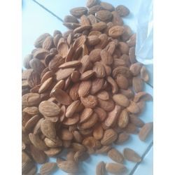 مغز بادام‌ درختی