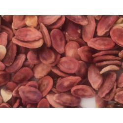 تخمه هندوانه ژاپنی