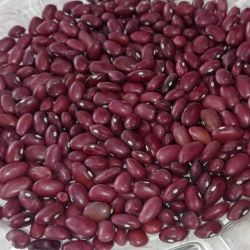 لوبیا قرمز
