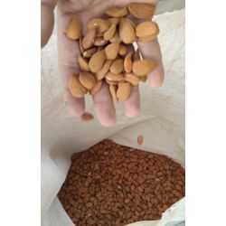 بادام مامایی