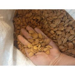 مغز بادام شاهرودی12