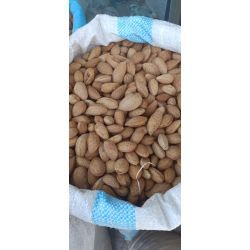 بادام درختی