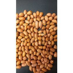 کپسولی و آستانه