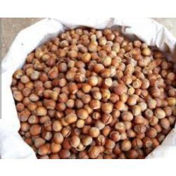 تک پوست‌ تازه