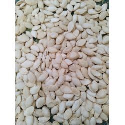 انواع تخمه آفتابگردان وکدو
