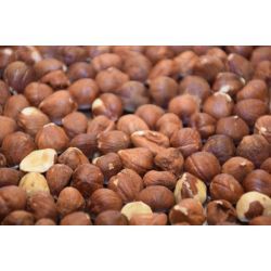 مغز فندوق ترکیه