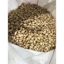 تامین انواع پسته