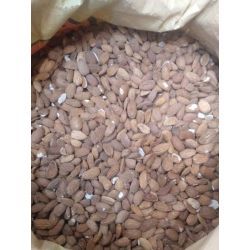 مغز بادام درختی خام