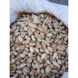 پسته اکبری