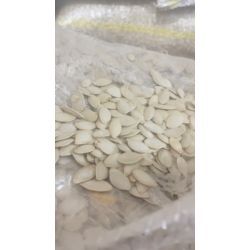 تخمه کدو گوشتی خام درجه یک