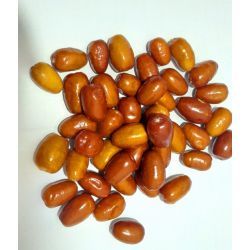 سنجد درشت قزل تبریز